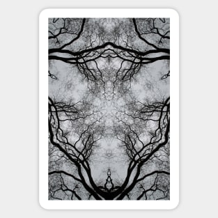 Impossible landscapes: winter tree against a grey sky Sticker